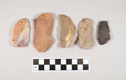 Flint flakes; five with cortex; variously colored stone