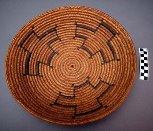 Rod and bundle coiled backet, possibly Navajo. 3 geometric designs in brown w/ b