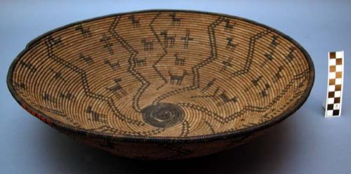 Medium-sized tray basket, coiled. Made of bear grass and devil's claw.