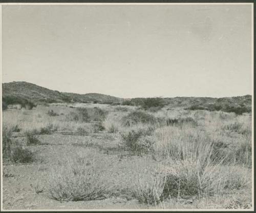 Landscape with vegetation, and hills in the distance (print is a cropped image)