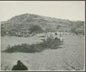 Brush laid out in long row on sand (print is a cropped image)