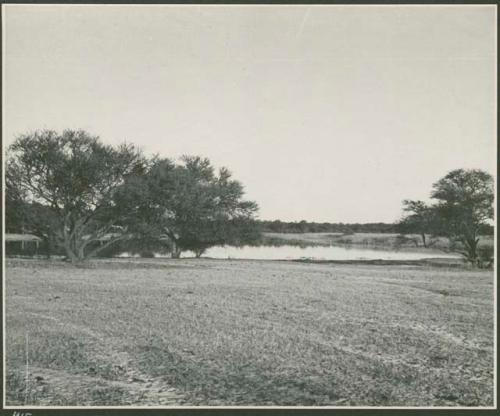 Grass, trees and water (print is a cropped image)