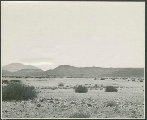 Brush, with hills in the distance (print is a cropped image)