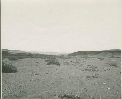 Landscape, with mesas in distance (print is a cropped image)