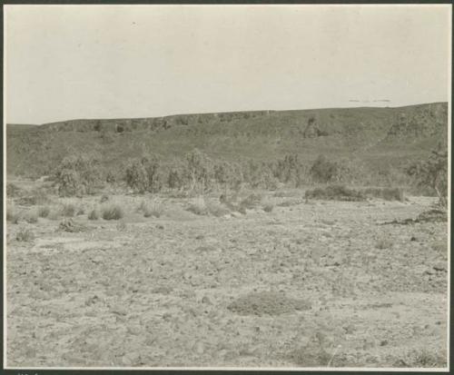 Landscape with brush, hills in background (print is a cropped image)