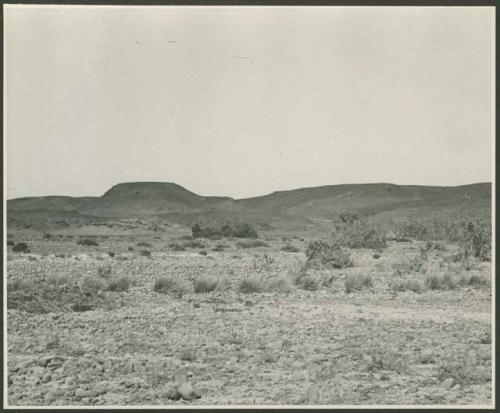 Landscape with brush, hills in background (print is a cropped image)