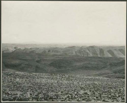 Landscape, with mountains in distance (print is a cropped image)