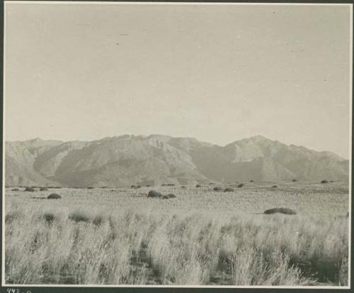 Landscape with grass and brush, mountains in distance (print is a cropped image)