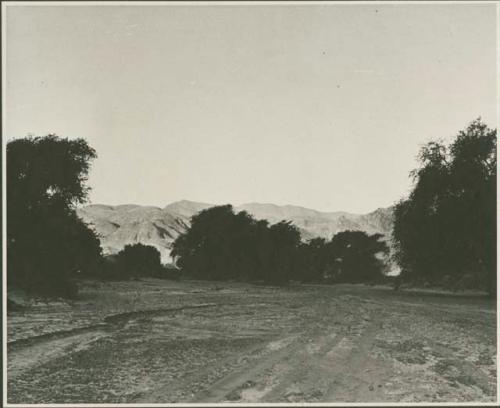 Hills or mountains in distance (print is a cropped image)