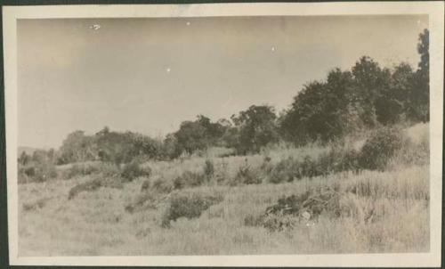 Tecpan landscape