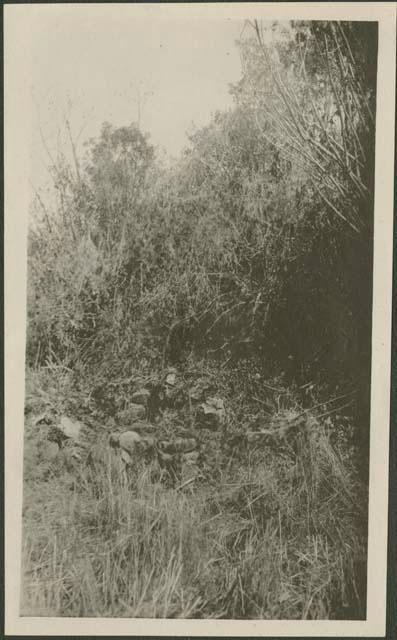 Landscape, possibly Tecpan