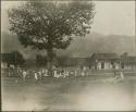 Group of people outdoors next to large tree and buildings in Copan