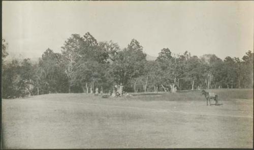 Group under a tree in background in Zacapa