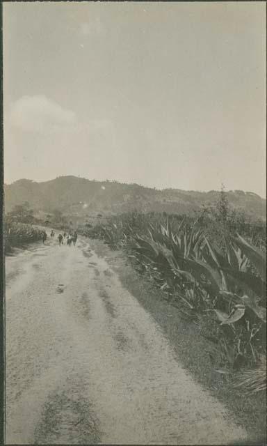 Near Santo Tomas Chichicastenango