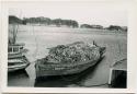 Boat full of oyster shells