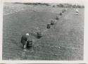 Barrels of fertilizer in field