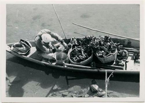 Man on boat, shucking oysters