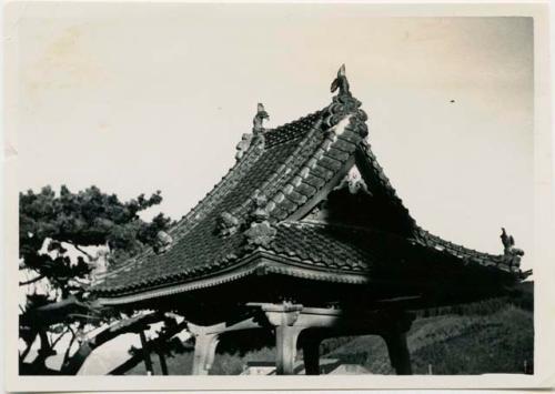 Temple roof