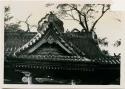 Temple roof