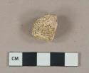 Unidentified mammal bone fragment