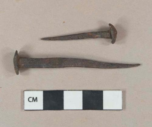 Intact ferrous metal hand wrought rose head nails, well-preserved