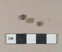 1 grape seed, 5 unidentified seed casing fragments