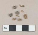 6 grape seed fragments, charred; 4 bone fragments, possibly tooth