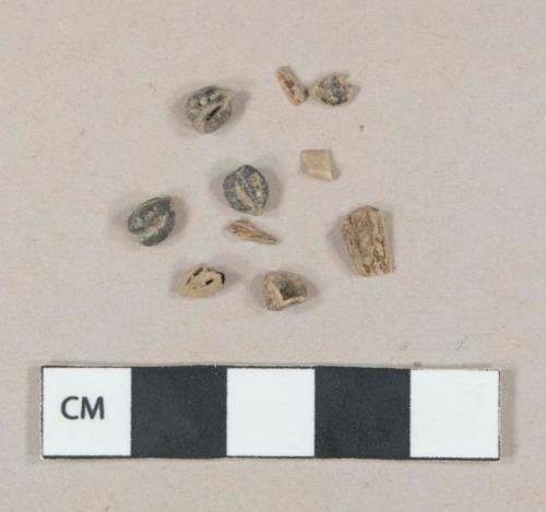 6 grape seed fragments, charred; 4 bone fragments, possibly tooth
