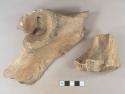 Mammal bone fragments, sawn