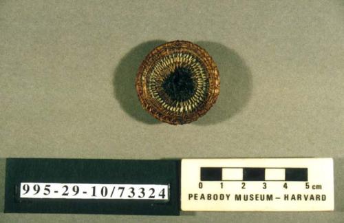 Coiled miniature brown, white, and black plate of horse hair