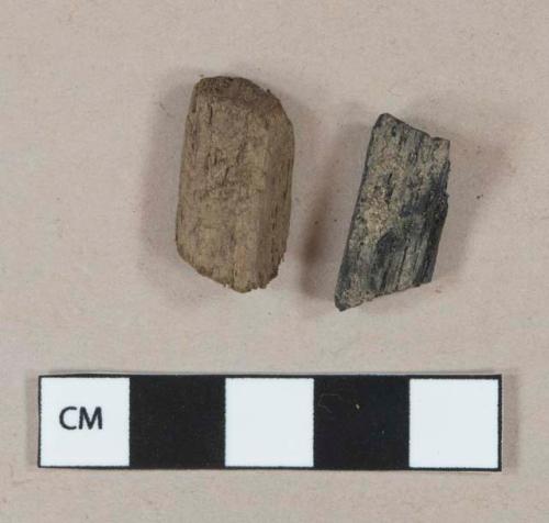 Unburned wood fragment, 1 charcoal fragment