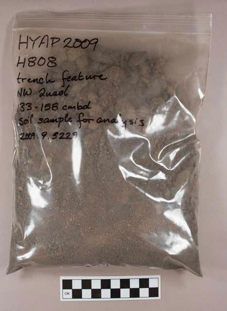 Sandy silty loam soil sample collected for analysis, munsel color 10YR 4/2, dark grayish brown