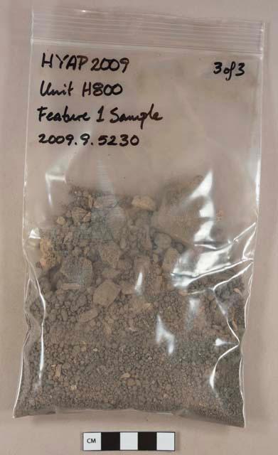 Sandy silty loam with bone fragments, soil sample collected for analysis, munsel color 10YR 4/2, dark grayish brown