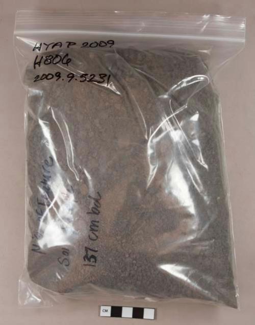 Sandy silty loam soil sample collected for analysis, munsel color 4/1, dark gray