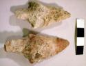 Stone, chipped stone, projectile points, 1 side-notched, broken, 1 triangular