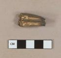 Tooth fragment, possibly horse or cow