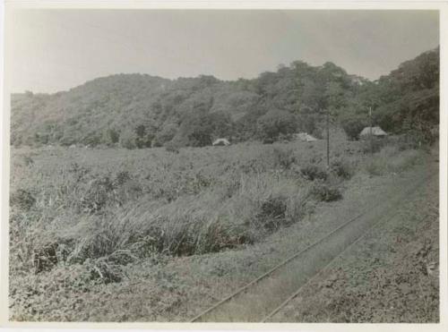 Railroad track, with structures in background