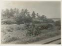 Railroad track along shoreline