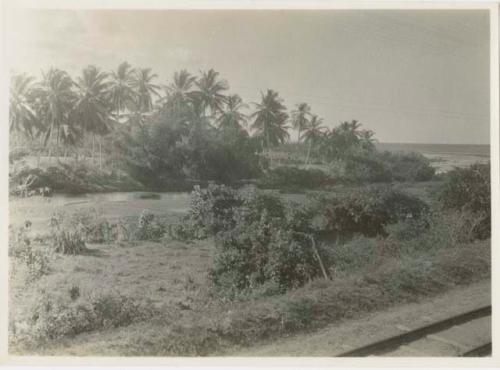 Railroad track along shoreline