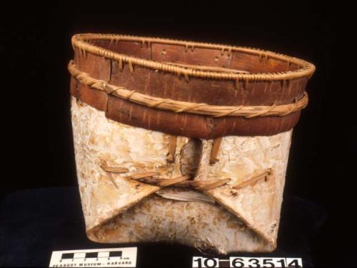 Birchbark container or dish. Spruce root lashing.