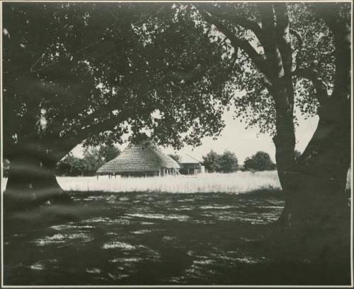 Trees, with huts in the distance (print is a cropped image)