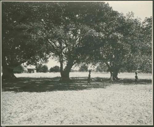 Two women walking and carrying bundles on their heads, with huts in background (print is a cropped image)