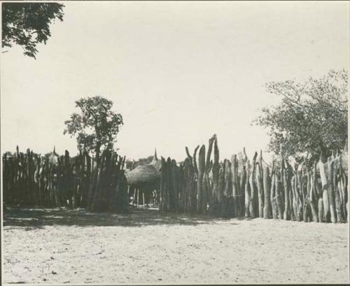 Kraal fence (print is a cropped image)