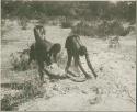 Two women gathering grain (print is a cropped image)