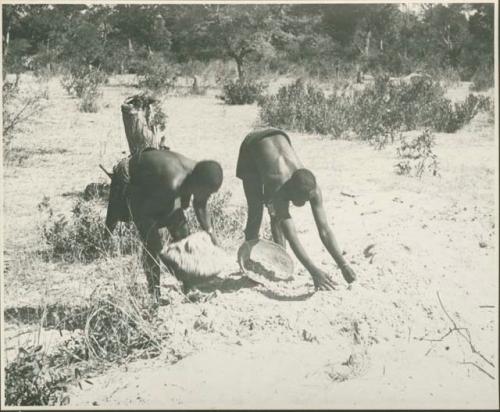 Two women gathering grain (print is a cropped image)