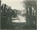 Woman standing inside kraal, view from outside fence (print is a cropped image)