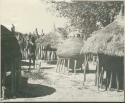 Woman standing next to storage baskets inside kraal (print is a cropped image)