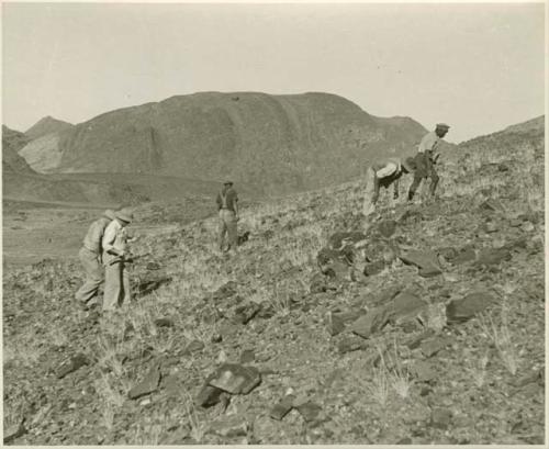 Five men climbing a hill, looking for tin ore (print is a cropped image)