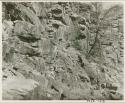 Petroglyphs of three rhinos and a giraffe on a rock wall