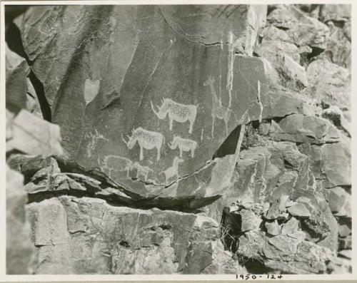 Petroglyph at Scho Scho, depicting three rhinos and a giraffe